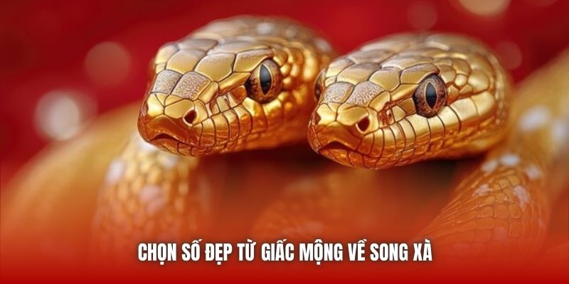Chọn số đẹp từ giấc mộng về song xà