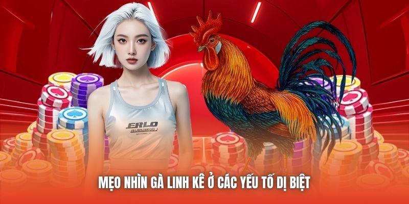 Mẹo nhìn gà linh kê ở các yếu tố dị biệt