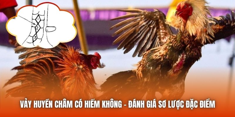 Vảy Huyền Châm Có Hiếm Không - Đánh Giá Sơ Lược Đặc Điểm